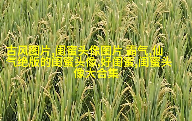 可爱闺蜜头像2人一人一个(24张)