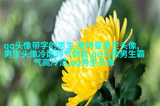 超酷高冷的男生头像(优选18张)