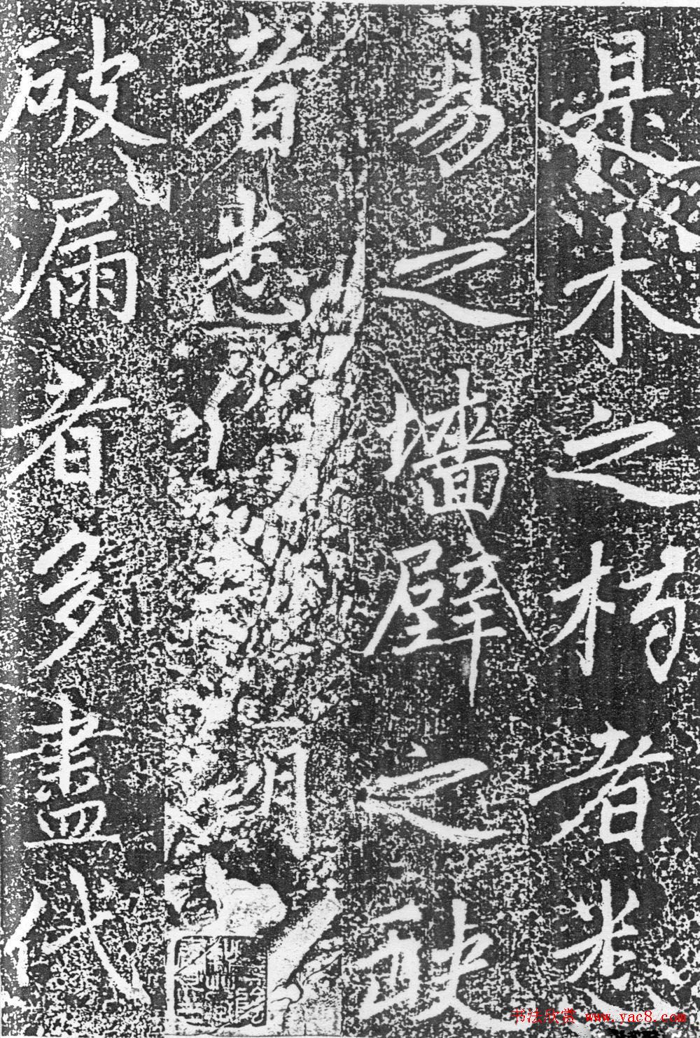 可甜可盐的欧美小姐姐头像真人(优选28张)