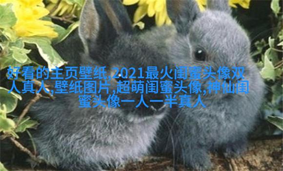 闺蜜双人分开萌头像一左一右(精选16张)