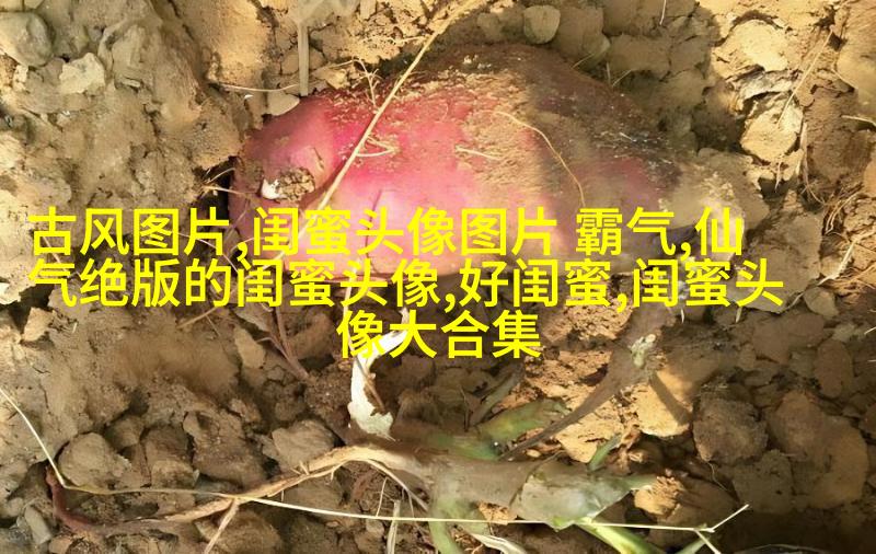 可爱闺蜜头像2人一人一个(24张)