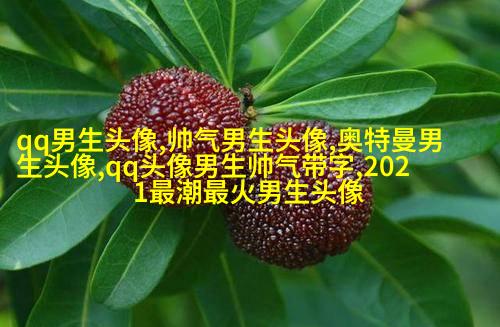 黑白伤感的男生头像(优选20张)