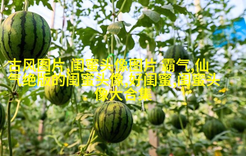 可爱闺蜜头像2人一人一个(24张)
