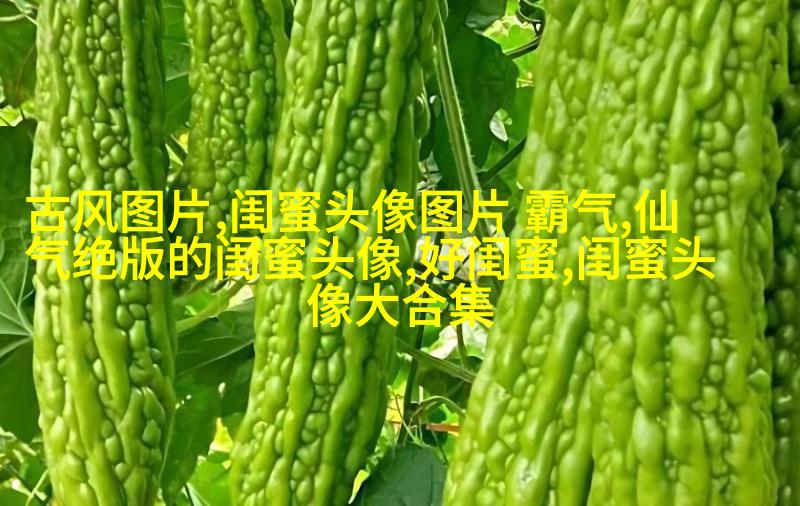 可爱闺蜜头像2人一人一个(24张)