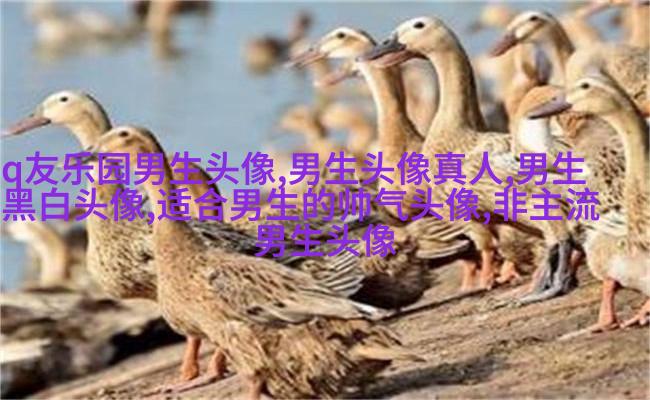 男生动漫个性网头像图片大全(精选16张)