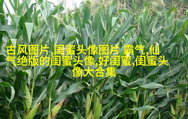 可爱闺蜜头像2人一人一个(24张)
