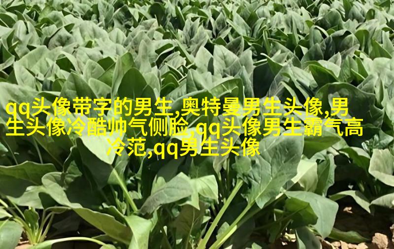 超酷高冷的男生头像(优选18张)