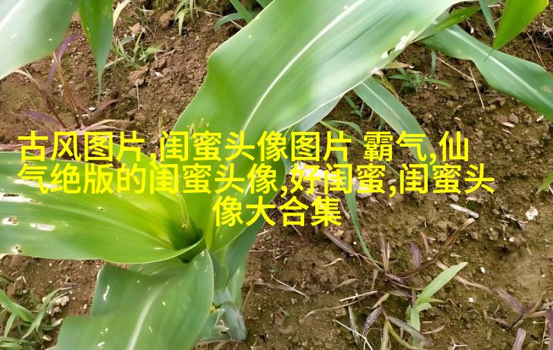 可爱闺蜜头像2人一人一个(24张)
