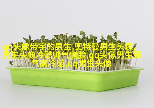 超酷高冷的男生头像(优选18张)