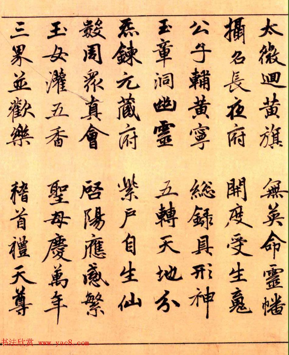 可甜可盐的欧美小姐姐头像真人(优选28张)