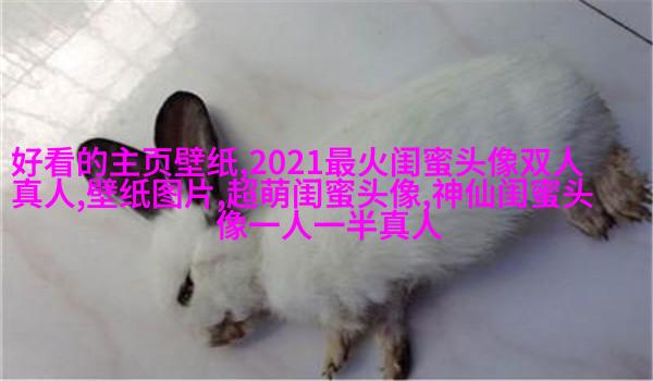 闺蜜双人分开萌头像一左一右(精选16张)