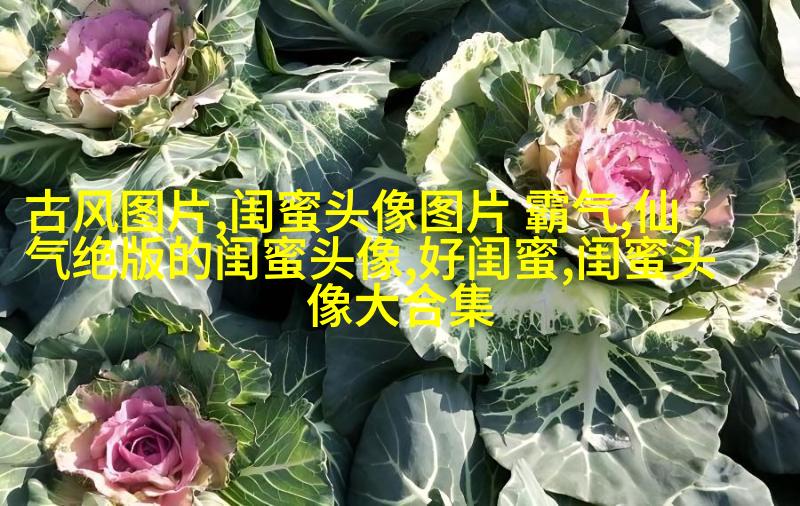 可爱闺蜜头像2人一人一个(24张)