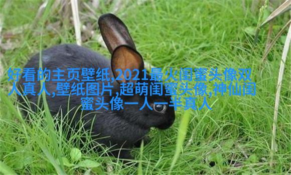 闺蜜双人分开萌头像一左一右(精选16张)