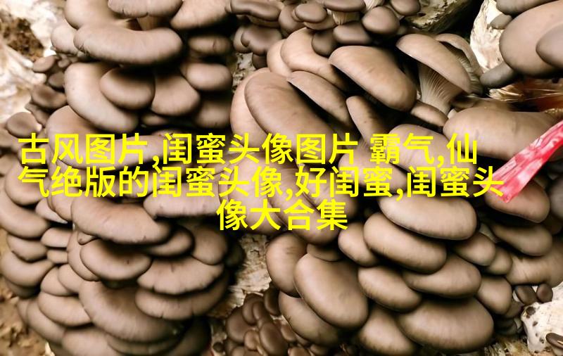 可爱闺蜜头像2人一人一个(24张)