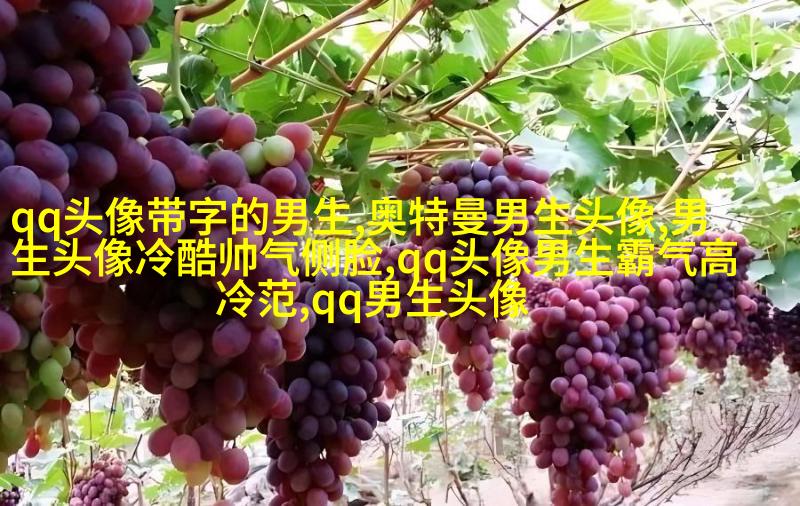 超酷高冷的男生头像(优选18张)